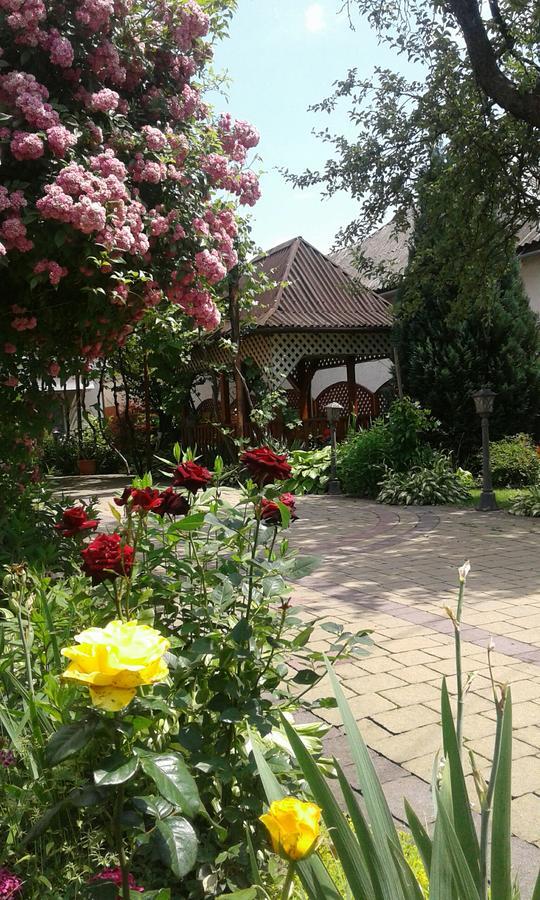 Усадьба " У Артура" Solochyn Extérieur photo